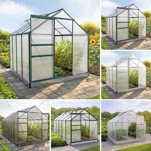 BRAST Gewächshaus Aluminium mit Fundament | TÜV geprüft | 42 Modelle | 130x190x195cm - 490x250x235cm, 6mm Hohlkammerplatten, rostfrei wetterfest temperaturbeständig | 250x190x195cm Grün