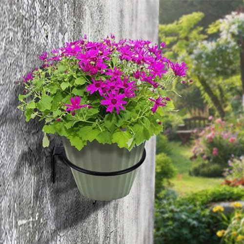 SPORTARC Lot de 2 supports muraux pour pot de fleurs, anneaux en métal (12,7 cm)