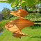 Luxuriöser Holz-Windspinner für den Garten – Handgefertigt & Nachhaltig – Natürliches Design – ca. 35 cm hoch x 29 cm – Dokkodo Large
