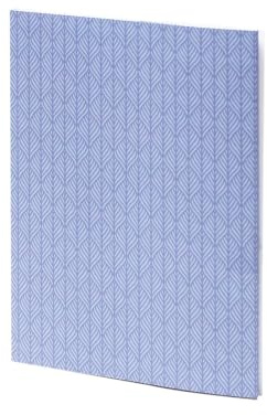 Rössler Papper 11731532000 – brevpappersset Leaf Blue, 10 brevpapper och 10 matchande kuvert