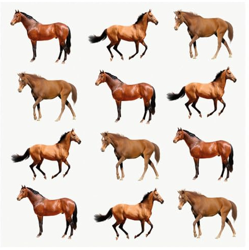 AK Giftshop PRE-CUT Farm Animals Horse Mix - Edible Cupcake Toppers/Cake Decorations (Pack of 12)