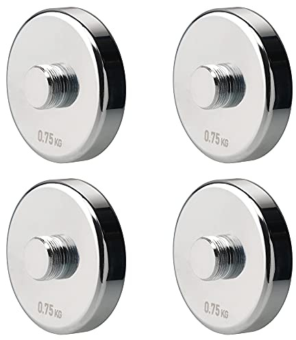 4 Pieces 0.75kg Weight Plates for 5kg Steel Dumbbells (4×0.75kg)
