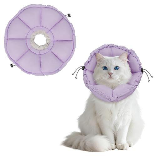 Supet två-i-ett syfte halsband för katt (lila, M)