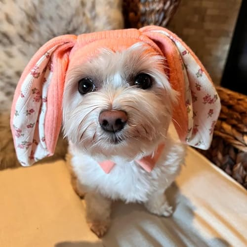 Rabbit Quiet Ears for Dogs & Cats - Knitted Dog Hats with Noise Protection & Warmth - Winter Hat & Head Wrap - Bunny Costume (Pink, Small)