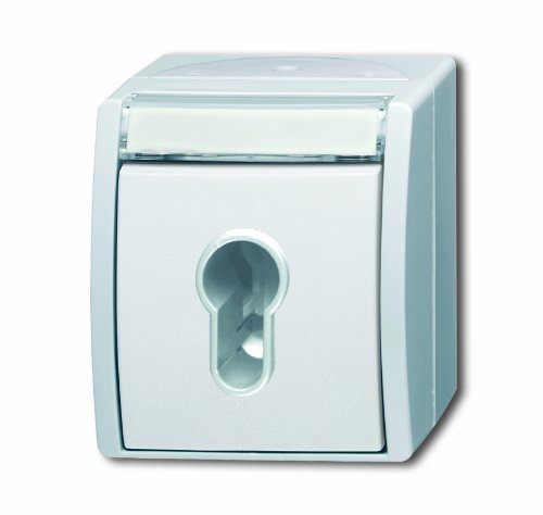 Busch-Jaeger 2733 SLW-54 Schlüsselschalter