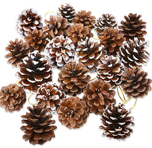 HOWAF 25 pièces Pommes de pin Naturelles, Pommes de pin de 5 à 6 cm pour l'artisanat, Pommes de pin avec Ficelle pour Cadeau fête Suspendue décoration d'arbre de Noël Guirlande décoration