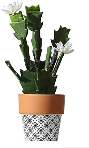 TXXM Falsificación Flor de Cactus Hada Bola de la decoración Pequeño suculentas Decoración Falsos Flores Verdes Plantas de Escritorio (Color : E)