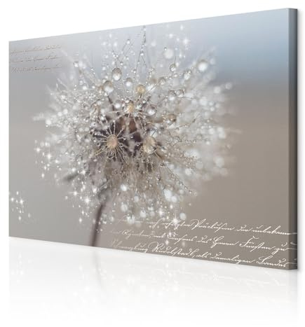 decomonkey Wandbilder Pusteblumen 120x80 cm 1 Teilig Leinwandbilder Blumen
