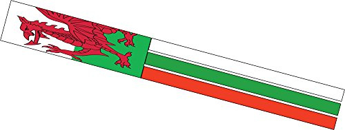 Spirit of Air Flag Windsock - Wales