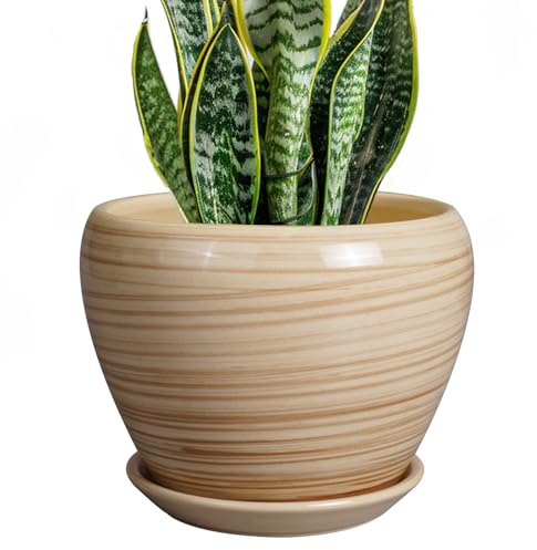 Ceramicfor Pflanzgefäß 20,3 cm – Keramik-Blumentopf für den Innen- und Außenbereich, mit Ablaufloch und Untersetzer, rund, moderner Blumenkübel für Sukkulenten, Haus, Terrasse, Gelb