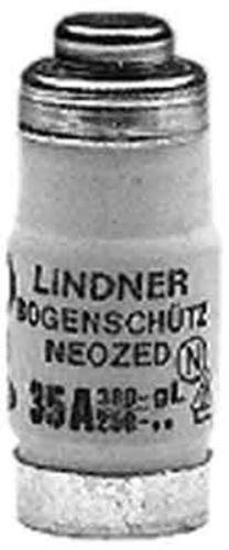 5 Stück MERSEN NEOZED-Sicherungseinsatz D02, 35A schwarz D02GG40V35