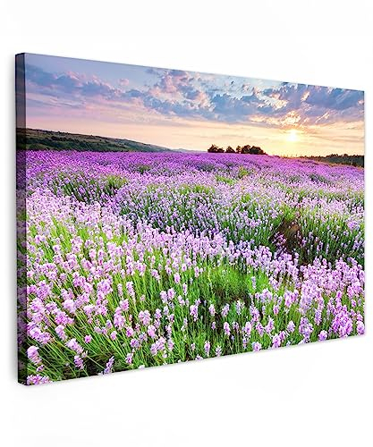 MuchoWow© Bilder Groß 120x80 cm XXL Wohnzimmer Deko Modern Wandbild Foto auf Leinwand Bild Schlafzimmer Room Decor Geschenke Blumen - Lavendel - Lila - Himmel - Sonnenuntergang - Wiese - Natur