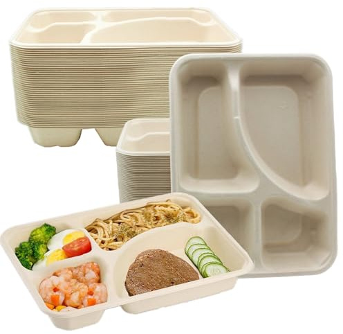 HningBuyox 50 Pack Compostable Paper Plates, Heavy Duty Sugarcane Fiber Compartment Plate, Microwave Safe Divided Tray for Adults, for Meal Prep, Buffets, Dips, Picnic, School,Party, Freezer Safe