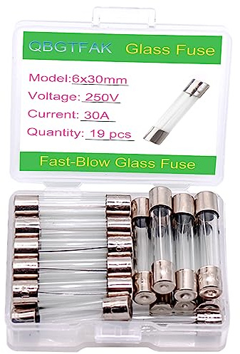 QBGTFAK 19 Pcs 6x30mm 30 A 30 amp 250 V 0.24x1.18 Inch Volt F30AL250V Fast-Blow Glass Fuses (30A)