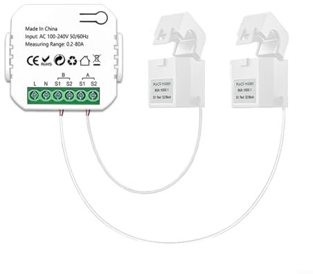 Tuya for Smart Life – ZigBee Compteur d'énergie, moniteur de consommation d'énergie, compteur d'électricité intelligent à canal bidirectionnel avec pince 80 A (2 CT)