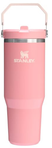 Stanley IceFlow 2.0 Flip Straw Tumbler with Handle 30 oz | Twist On Lid and Flip Up Straw | Leakproof Water Bottle | Insulated Stainless Steel | BPA-Free | Pink Mesa