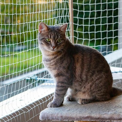 Piowet Cat Balcony Net Cat Netting Balcony Rail Net Cat PET Balcony Anti Fall Netting Cat Fence Nets Transparent Nylon Pet Mesh Fence Anti Fall Netting for Balcony Window Stairs (10 * 13ft, White)