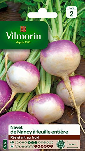 Vilmorin 3701042 Pack de Graines Navet de Nancy à Feuille Entière