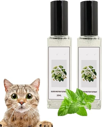 Kolarmo Herbal Cat Joy Spray à l'herbe à chat pour chats, spray à base de plantes pour chats, spray à base de plantes pour chat, spray de dressage pour chat avec herbe à chat, spray transparent pour