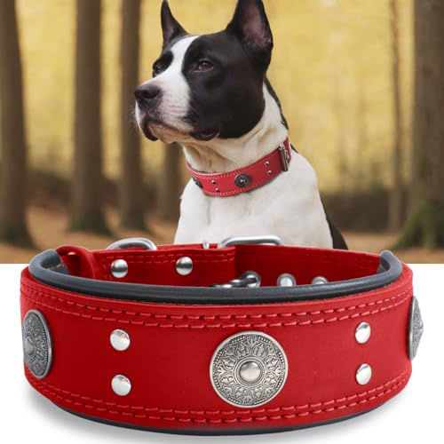 Hundehalsband Leder 5 cm Breites,Handgefertigt Weich und Luxuriös,Rot S | Robustes Echtes Lederhalsband, Auffällige Beste Wahl für Große und Mittelgroße Hunderassen, 42,5-52,5 cm