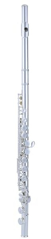 Querflöte Instrument Flötenblasinstrument Weiße Kupferklappe E-Klappe Geteilte C-Klappe Versilbert 16 Geschlossene Löcher Für Anfänger Für Spielen