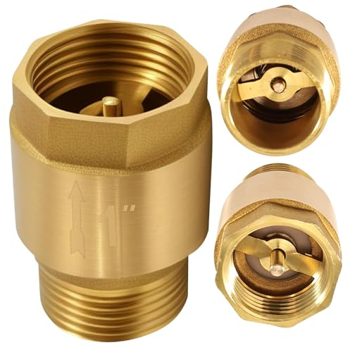 Begonia 1 Zoll Messing Rückschlagventil, Rückflussverhinderer 1 Zoll AG zu IG, 1'' Rücklaufventil, Rostfrei und Wasserdicht für Pumpe, Garten, Waschmaschine, Fass, Wasserleitung, Warmwasserbereiter