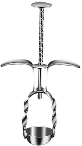 Alipis Snocciolatore di Ciliegie in Acciaio Inossidabile 304 Rosso per La Casa Forniture per La Cucina Snocciolatore di Ciliegie in Snocciolatore di Frutta di Ciliegia