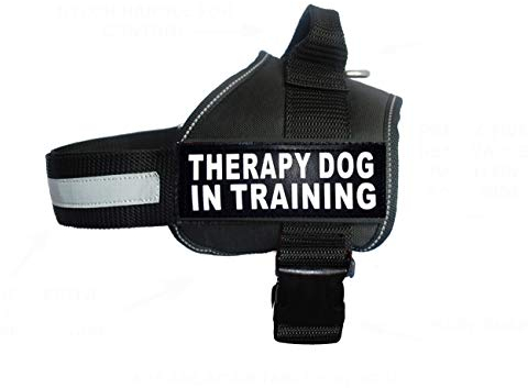 Therapiegeschirr für Hunde im Training, Nylon, mit 2 reflektierenden Therapiehunden auf Trainingspfaden. Bitte messen Sie Ihren Hund vor der Bestellung (71,1–96,5 cm, Schwarz)