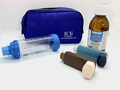 ICE Medicinsk inhalator väska – medium BLÅ