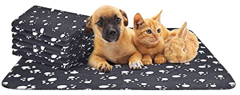 Nobleza - 6 x Hundedecke Weiche Fleecedecke Waschbare Deck für Haustier Hunde Katzen Welpen Weiche Warme Matte, Schwarz, 75 * 75cm