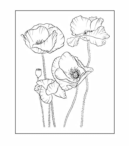 Arrietty Kunstvolle Blumen, Mohnblumen, klarer Stempel, Siegel, Scrapbook, Fotoalbum, dekorative Karten, klare Stempel