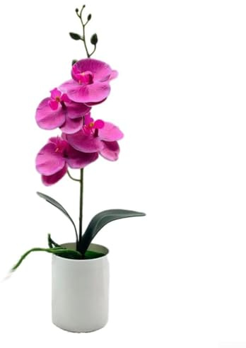 Phalaenopsis – Orchidée artificielle, plante décorative en pot pour la maison ou le bureau, améliore les espaces intérieurs avec un aspect naturel (violet)