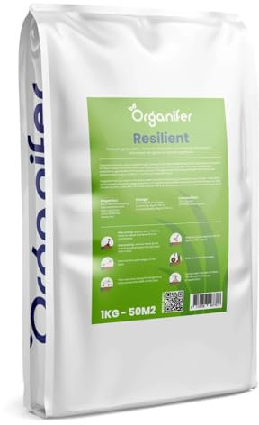 Semi Di Erba A Germinazione Rapida (1 Kg/50 M2) - Prato - Per Prati Sportivi E Ricreativi - Certificati Nak - Organifer