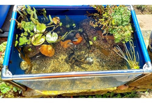 Vorratsbehälter für Fischteiche im Freien, freistehender Aquariumpool für den Innenbereich, Flexible PVC-Planenauskleidungen mit Stahlrahmen, mit transparentem Sichtfenster, Zuchtwasserbehäl