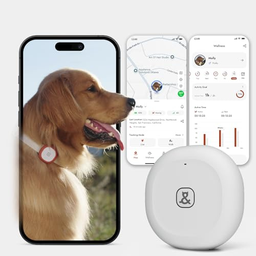 Molly&Cody GPS + Bluetooth Pet Tracker for Cats & Dogs – Real‑Time Tracking, Virtual Fence, IP67 Waterproof, Health Monitoring, iOS/Android – Subscription Required (White)