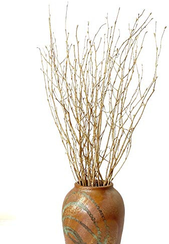 Branches décoratives de bouleau séchées, 58,4 cm, pour décorations de mariage, brindilles pour décorations de Noël (or métallisé)