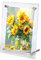 FOSDICK 10x15cm Cadre Photo en Acrylique, Cadres Photo D'image de Table, Afficher en mode portrait ou paysage, Petit Cadre Photo Transparent, Cadre Photos pour Affichage de Photo, Art