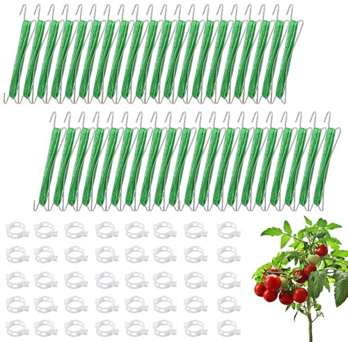 HuaMuDM Tomatenhaken mit Schnur,40 Stück Tomatenhaken,Tomatenhaken Set | 80 Pflanzenschnalle,15m Seil,Pflanzenbieger Clips,Garden Tomato Hooks,Doppelte Tomatenhaken für Hängende Tomaten und Gurken