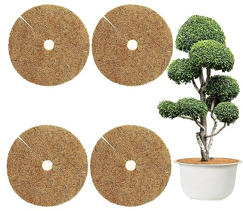Tarocat 4 Pièces 60cm Tapis de Coco, Tapis de Coco Protection, Tapis Coco Plantes, Disque de Paillage, pour Plantes en Pot, Protéger Les Racines des Plantes en Pot du Gel