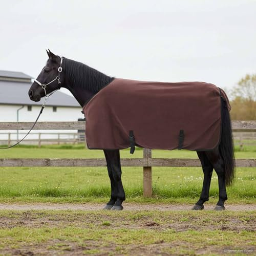 Ziaphsol Manta para caballo, color marrón oscuro, 105 cm, poliéster, transpirable, cierre de pecho ajustable, cinturón de sudoración, para establo, sauce, paddock, calor y sequedad
