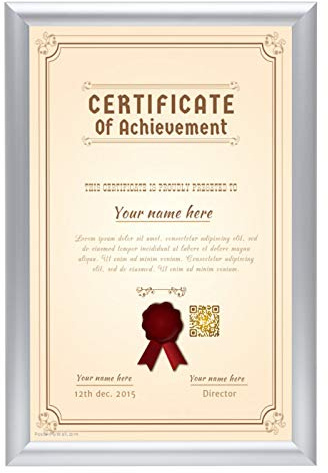 SnapeZo Notice Frame 11x17 Inches, Silver 1 Inch Aluminum Profile, Front-Loading Snap Frame, Wall Mounting, Sleek Series