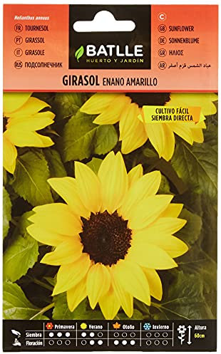 Battle- Semi di Fiori, Girasole Nano Giallo