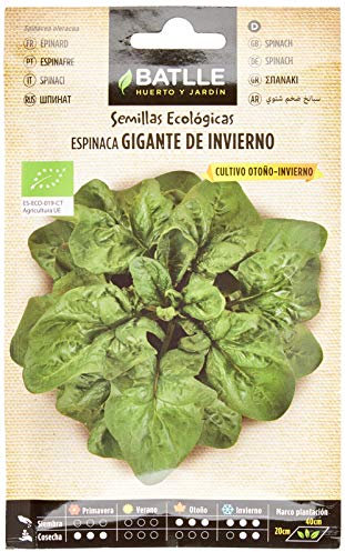Graines Bio de Batlle - Épinards Géant d'hiver (4g), vert