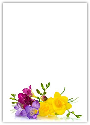 Motiv Briefpapier (Blumen-5028, DIN A4, 25 Blatt). Einseitig bedrucktes Briefpapier, sehr gut beschreibbar, Motivpapier für alle Drucker/Kopierer Motiv Blumen wunderschöne Freesien gelb lila blau