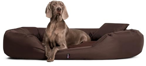 tierlando® Hundebett Sammy Komfort mit herausnehmbarer 4-Kammer-Matratze und hohem Rand aus Polyester 600D für große und schwere Hunde Größe: 140x105cm | Farbe: 01 Braun