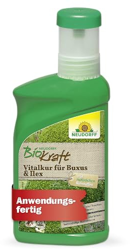 Neudorff BioKraft Vitalkur für Buxus & Ilex – Konzentrat vitalisiert geschwächte Buchsbäume durch Schädlinge, Krankheiten, Frost und Trockenheit, 300 ml
