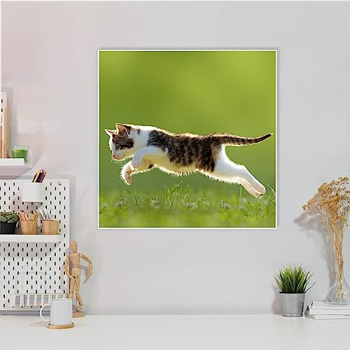 banjado® Magnettafel 50 x 50 cm/Magnetwand aus Metall/Magnetpinnwand als Memoboard/Pinnwand Magnettafel Küche, Büro, Kinderzimmer inkl. 4 Magnete & Montageset - Motiv Jagende Katze