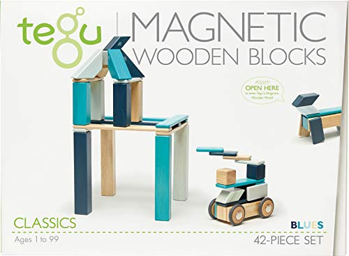 TEGU 5700510 Holzbausteine magnetisch, Blautöne, 42 Teile, Holzspielzeug für Kinder ab 12 Monate