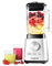 Magimix 11619 Le Blender - Satin Finish