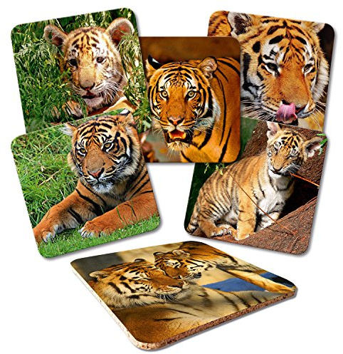 ADDIES Glas-Untersetzer 6-TLG.Set Bedruckt Motiv Tiger Komplett-Set in hochwertiger Klarsicht-Geschenkbox und Korkrückseite